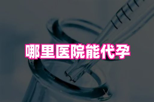 泉州助孕网 3